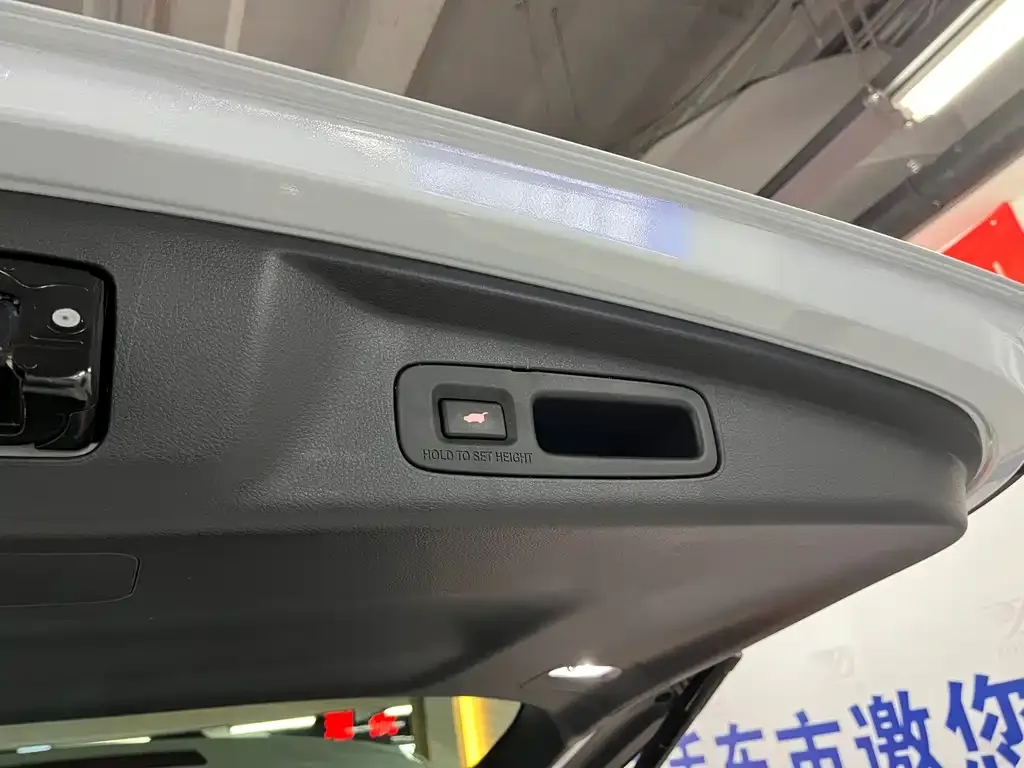 Honda Elysion 2024 из CN, фото 3