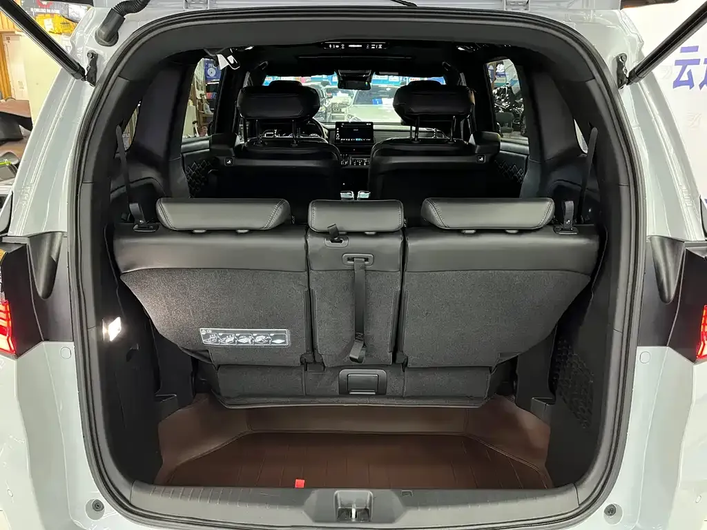 Honda Elysion 2024 из CN, фото 8