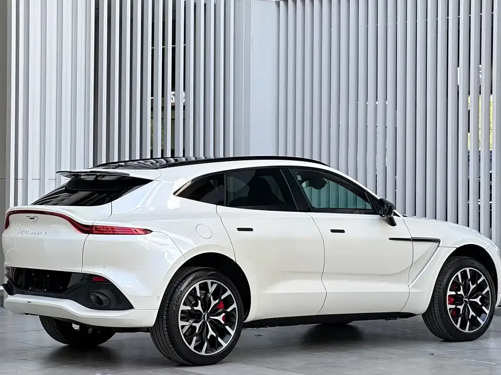 Aston Martin DBX 2021 из CN, фото 4