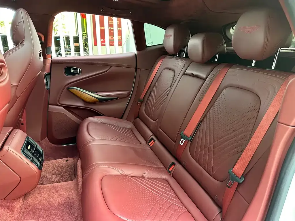 Aston Martin DBX 2021 из CN, фото 7