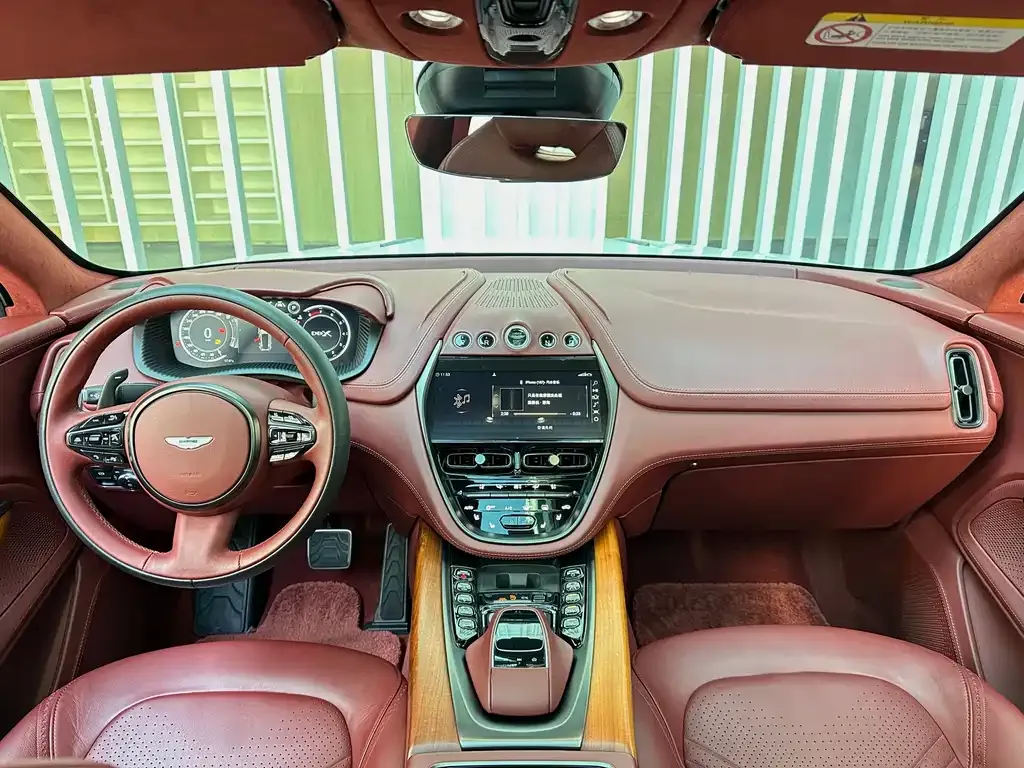 Aston Martin DBX 2021 из CN, фото 10