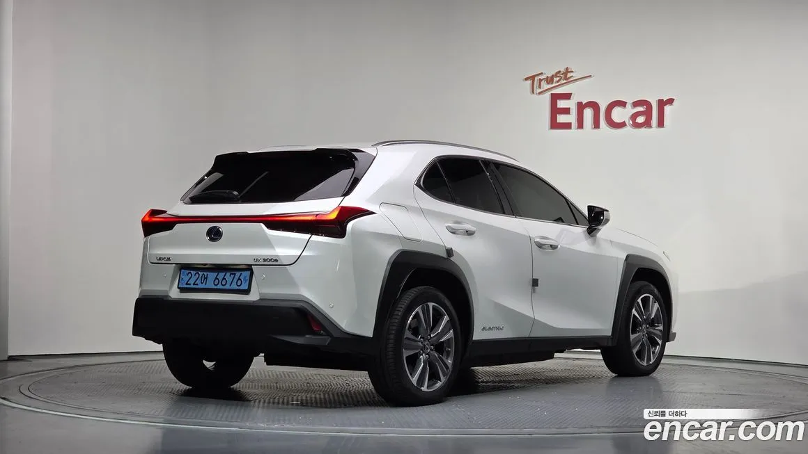Lexus UX 2022 из KR, фото 10