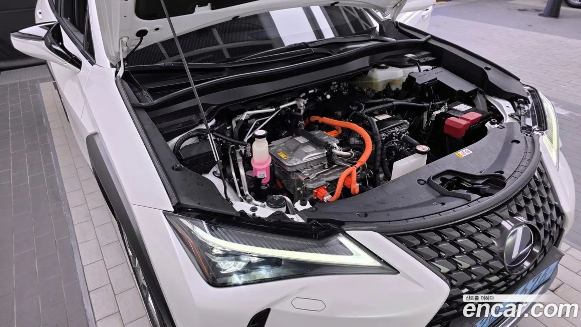 Lexus UX 2022 из KR, фото 7