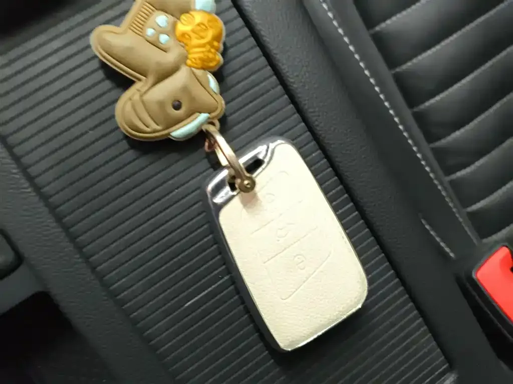 Volkswagen Magotan 2021 из CN, фото 4