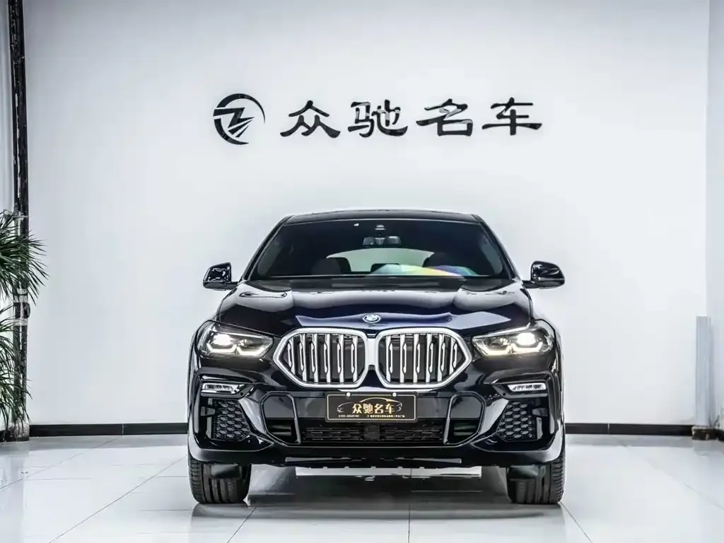 BMW X6 2021 из CN, фото 7
