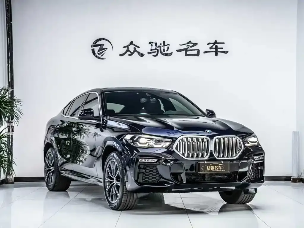 BMW X6 2021 из CN, фото 10