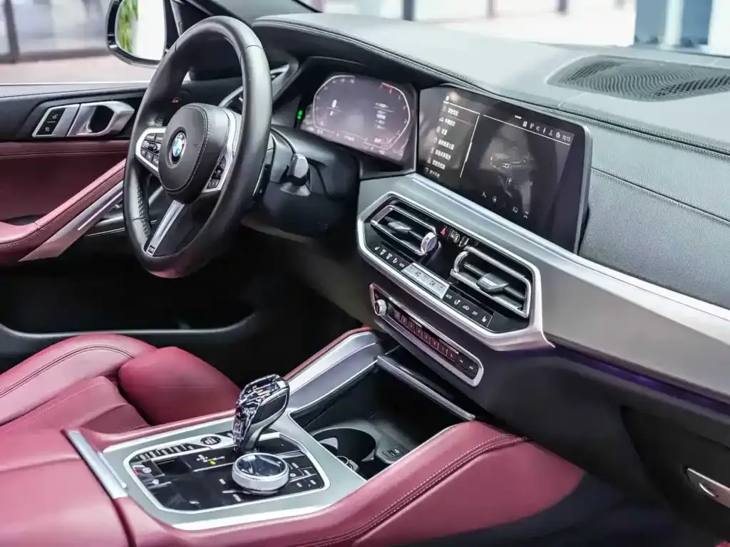 BMW X6 2021 из CN, фото 6
