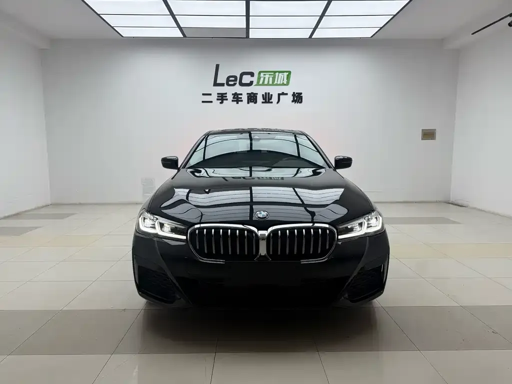 BMW 5 Series 2024 из CN, фото 8