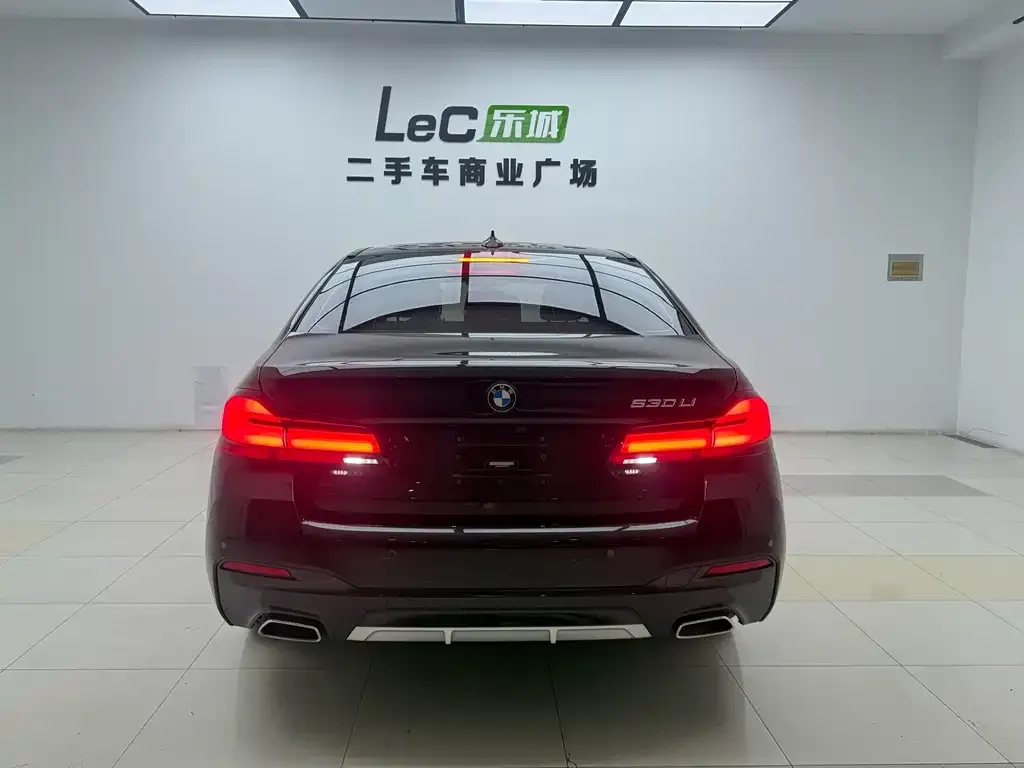 BMW 5 Series 2024 из CN, фото 7