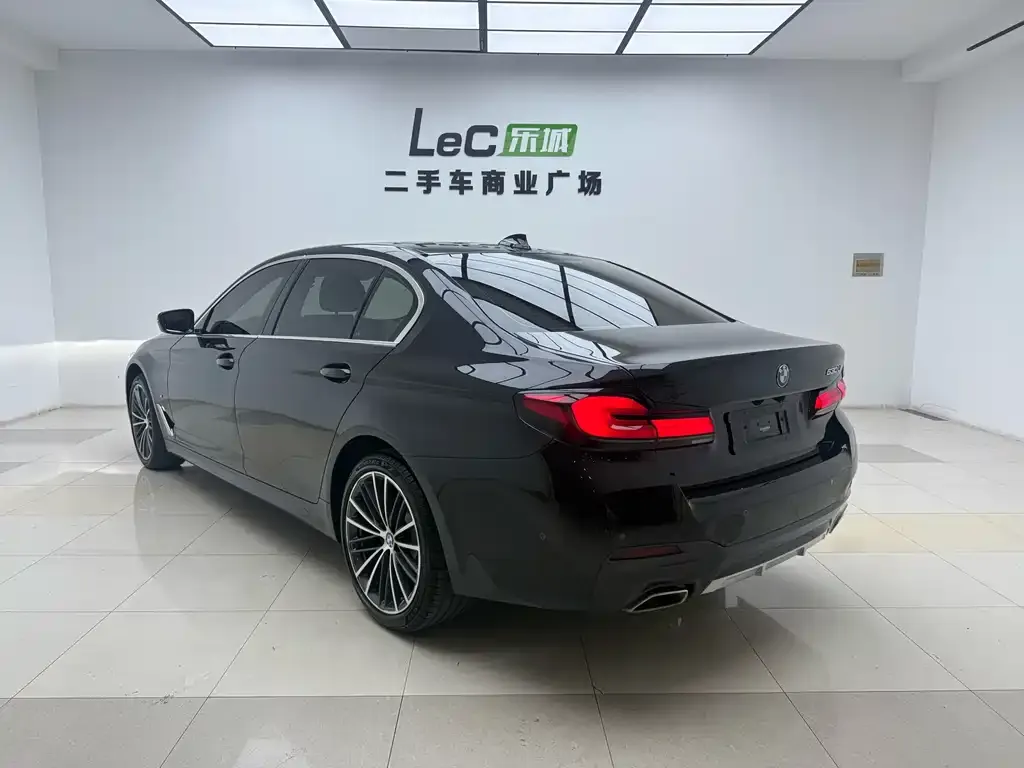 BMW 5 Series 2024 из CN, фото 4