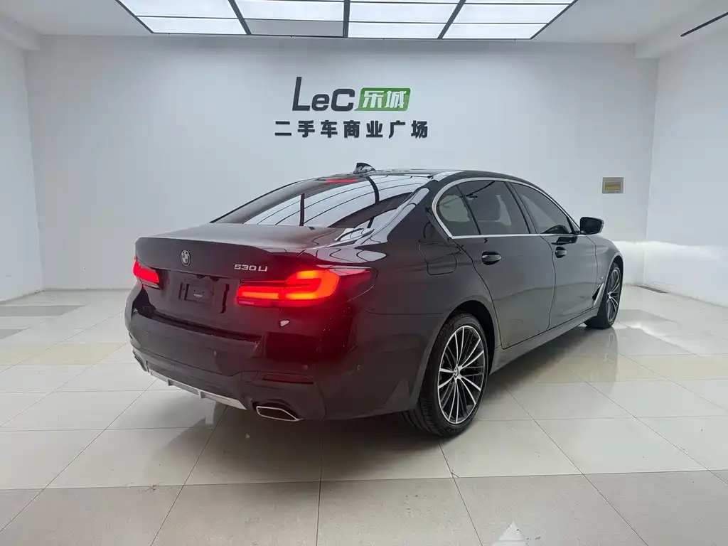 BMW 5 Series 2024 из CN, фото 10