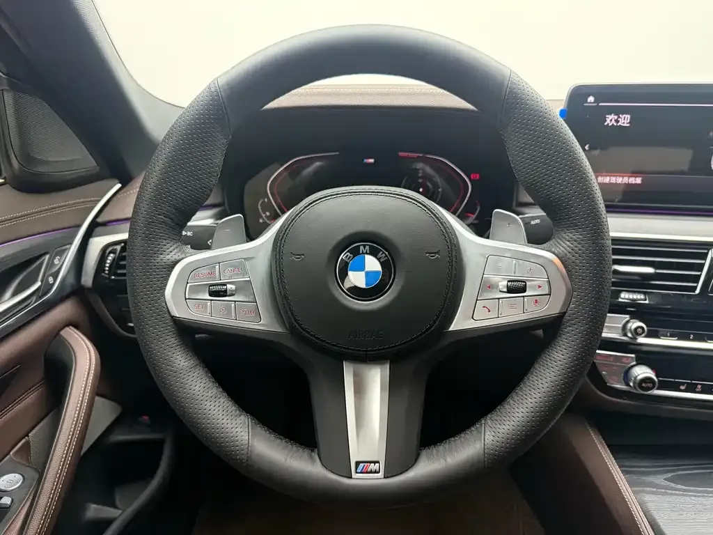 BMW 5 Series 2024 из CN, фото 2
