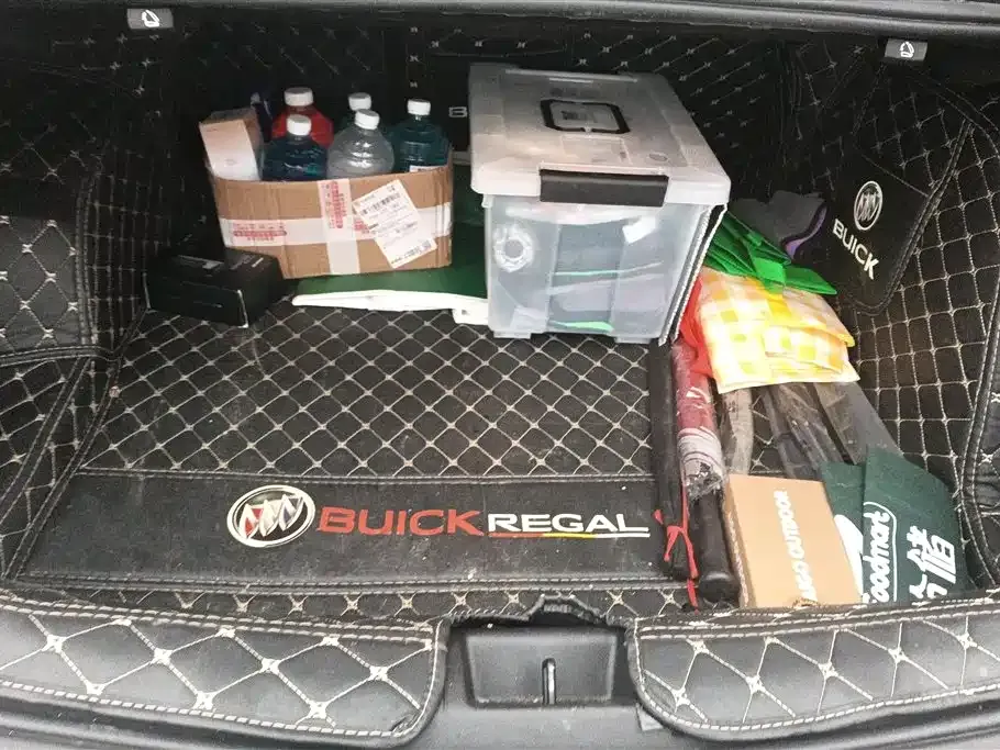 Buick Regal 2021 из CN, фото 9