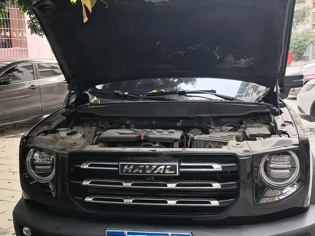 Haval Big Dog 2021 из CN, фото 5