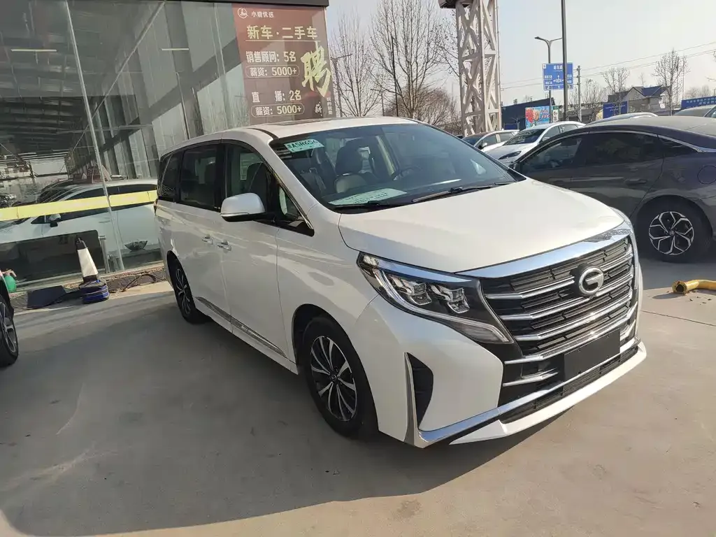 GAC Motor Trumpchi M8 2023 из CN, фото 8