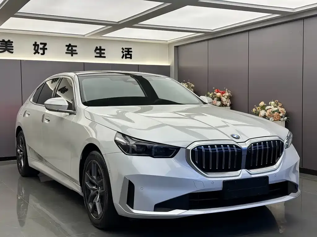 BMW 5 Series 2024 из CN, фото 6