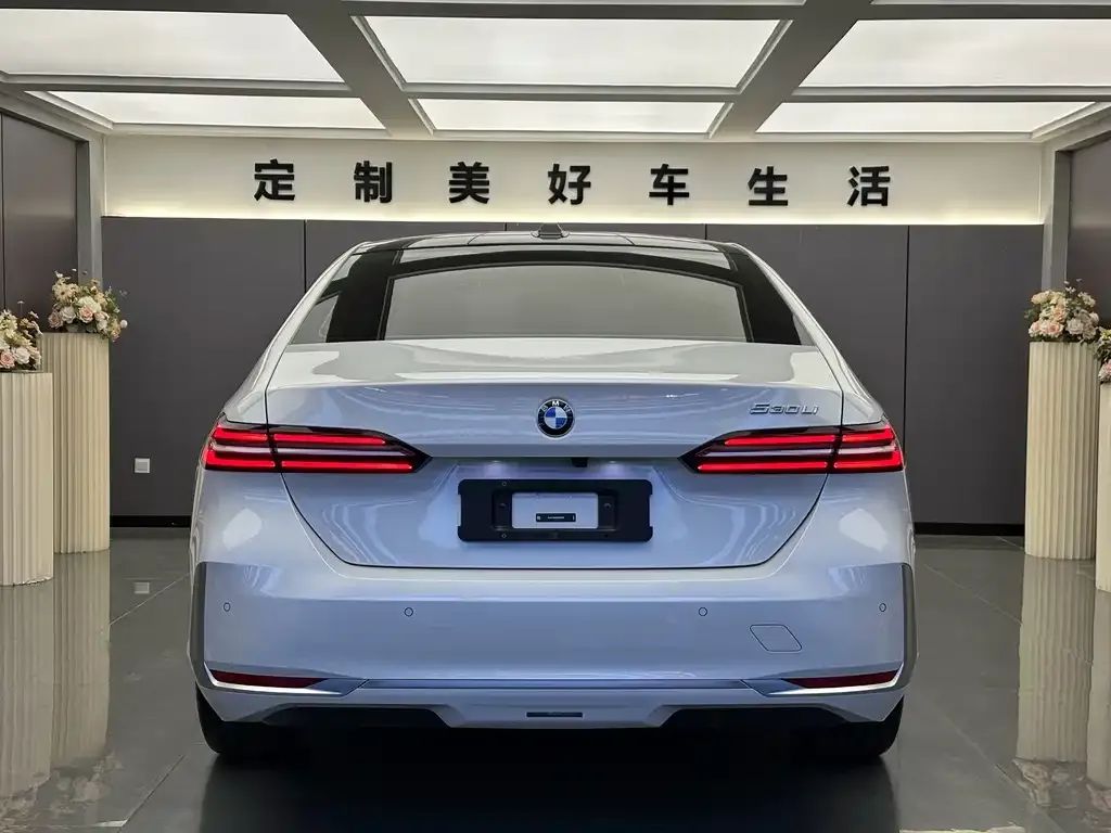 BMW 5 Series 2024 из CN, фото 8