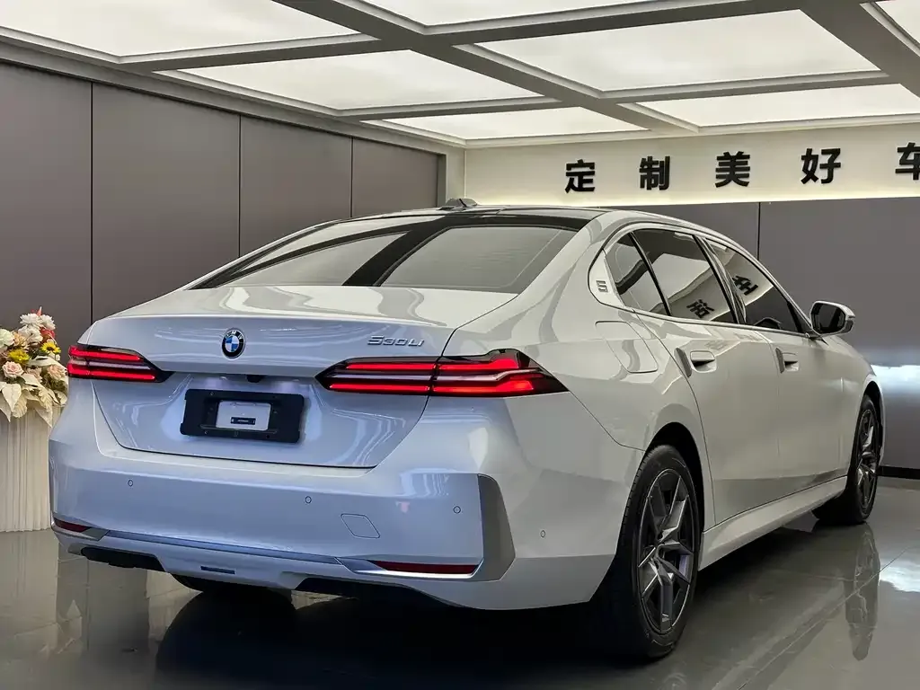 BMW 5 Series 2024 из CN, фото 7