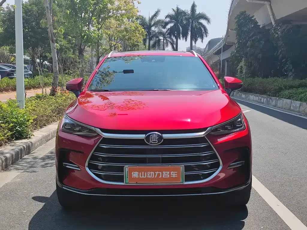 BYD Tang New Energy 2021 из CN, фото 10