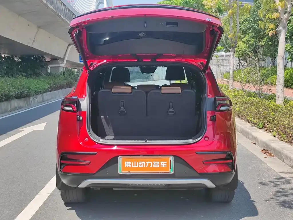 BYD Tang New Energy 2021 из CN, фото 5