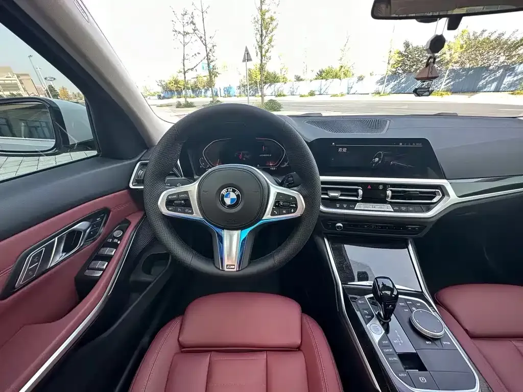 BMW 3 Series 2021 из CN, фото 7