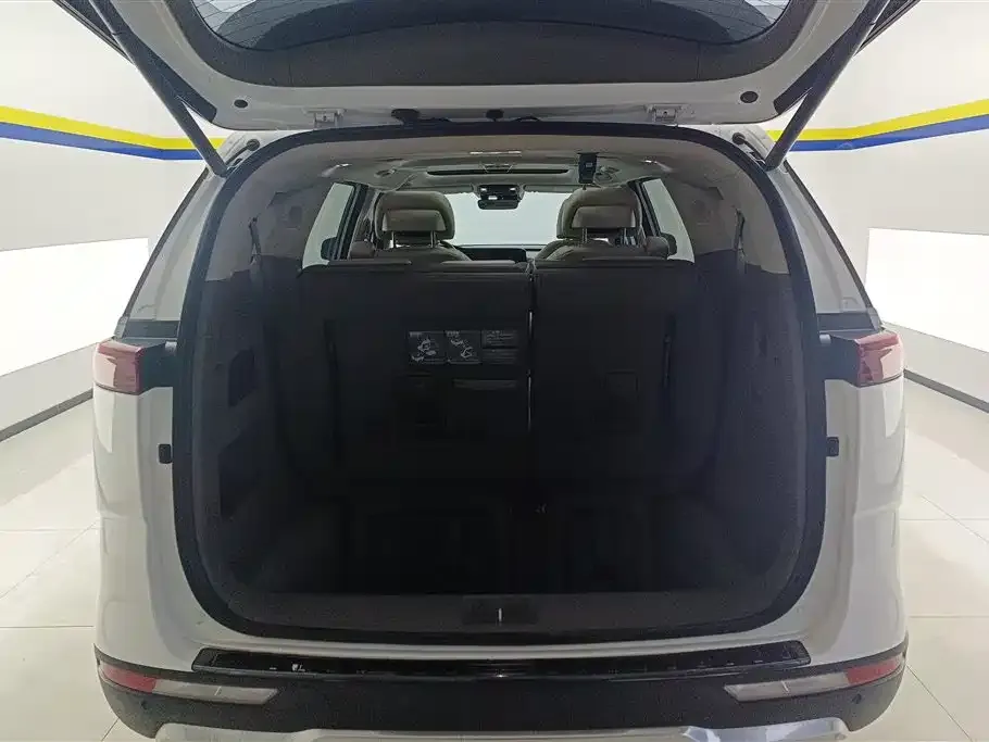 Kia Carnival 2022 из CN, фото 2