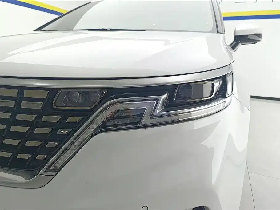 Kia Carnival 2022 из CN, фото 10