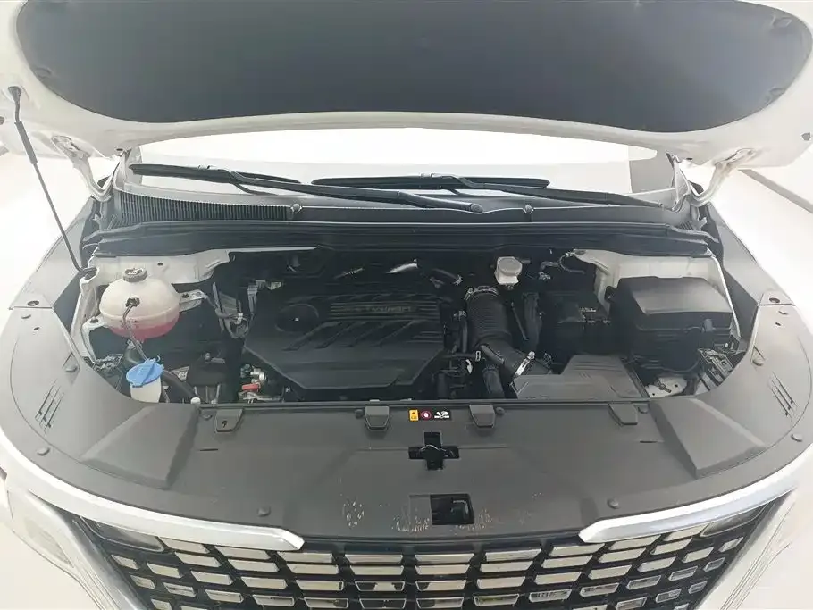 Kia Carnival 2022 из CN, фото 8