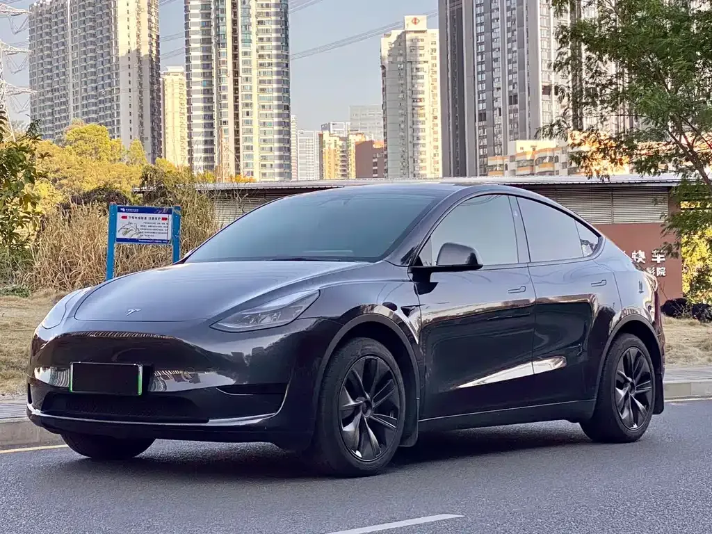 Tesla Model Y 2024 из CN, фото 1