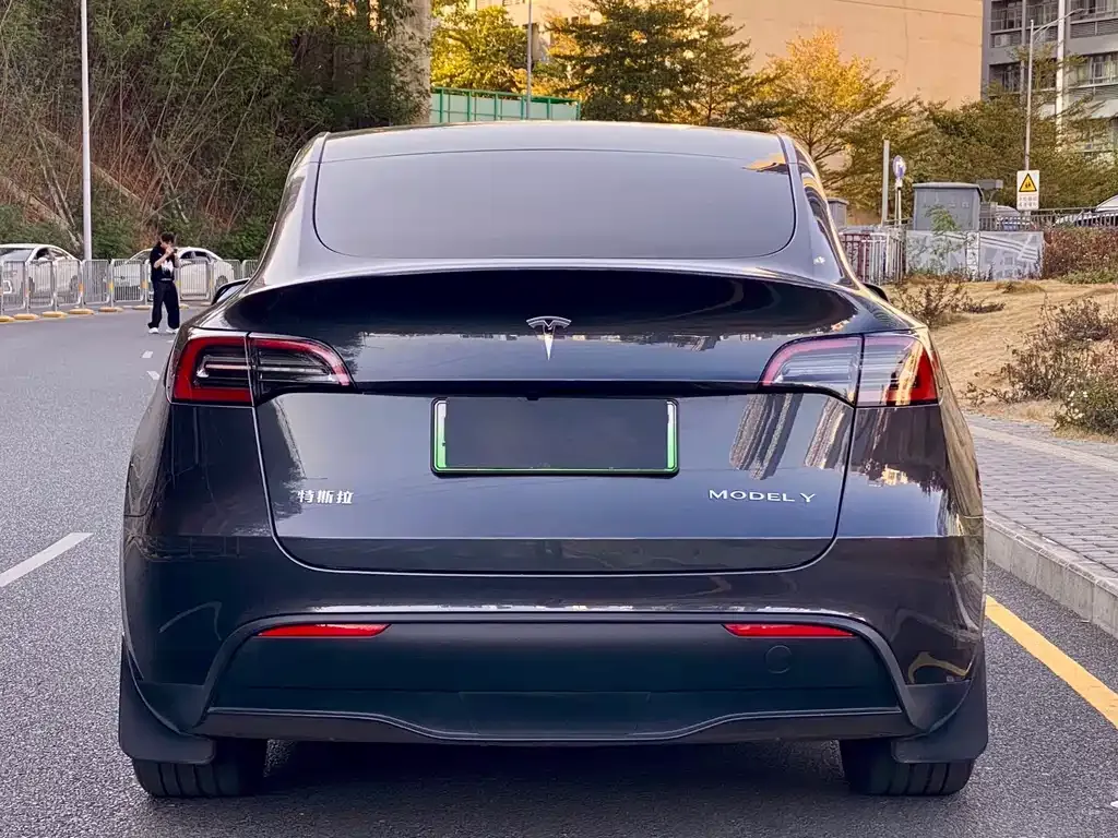 Tesla Model Y 2024 из CN, фото 6