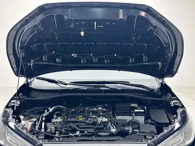 Toyota Frontlander 2022 из CN, фото 4