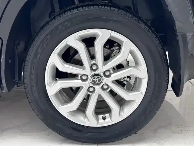 Toyota Frontlander 2022 из CN, фото 8
