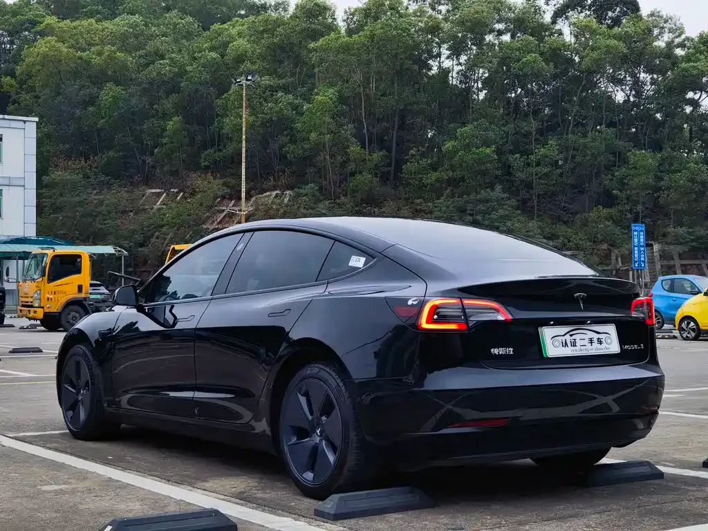 Tesla Model 3 2022 из CN, фото 3