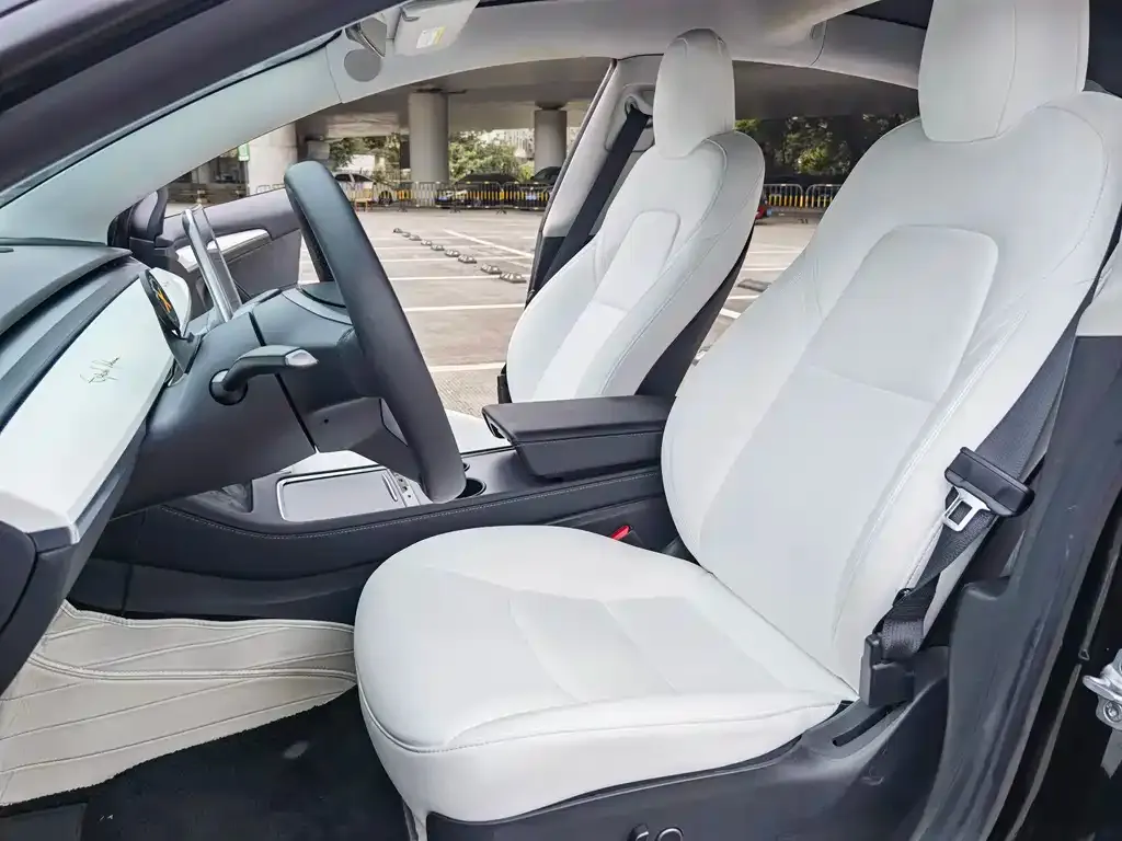 Tesla Model 3 2022 из CN, фото 6