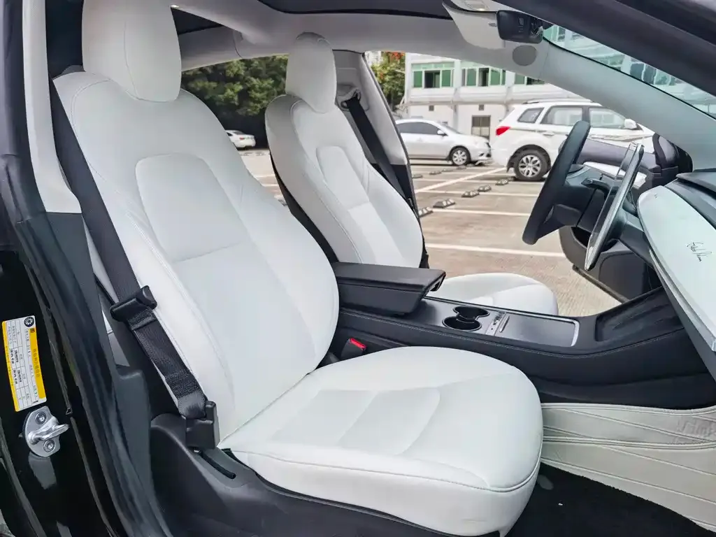 Tesla Model 3 2022 из CN, фото 2
