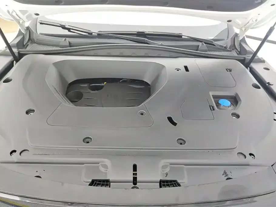 Roewe RX5 MAX 2023 из CN, фото 4