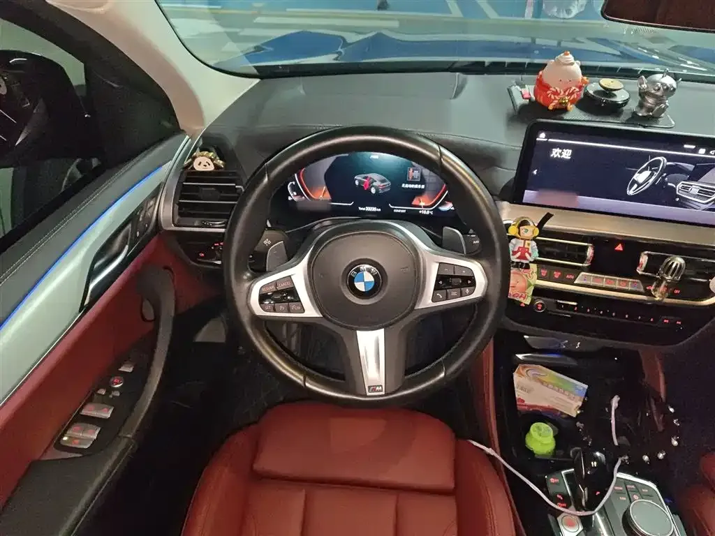 BMW X4 2023 из CN, фото 7
