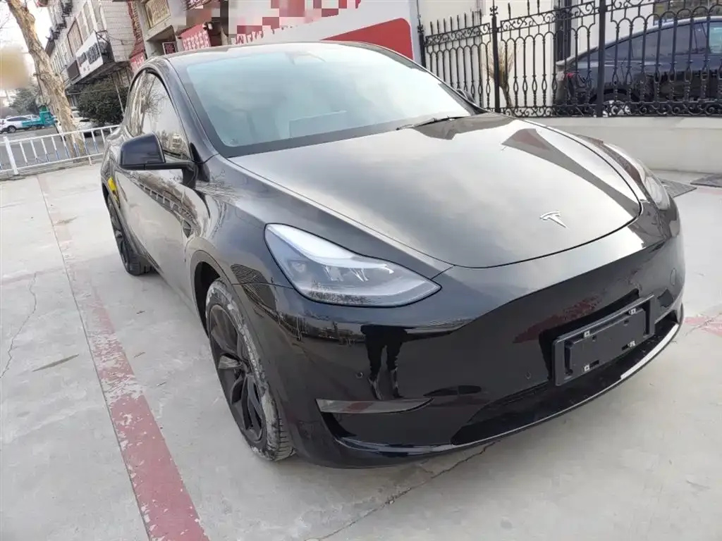 Tesla Model Y 2021 из CN, фото 8