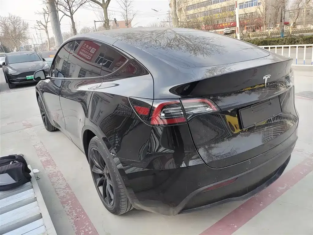 Tesla Model Y 2021 из CN, фото 4