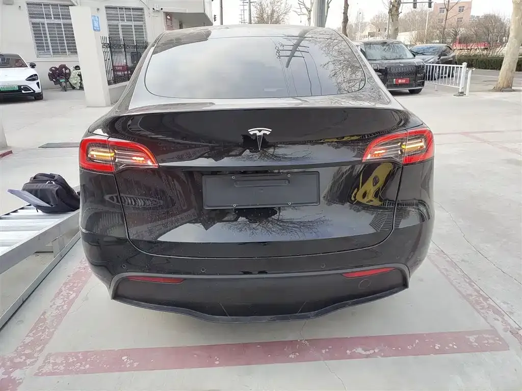 Tesla Model Y 2021 из CN, фото 6