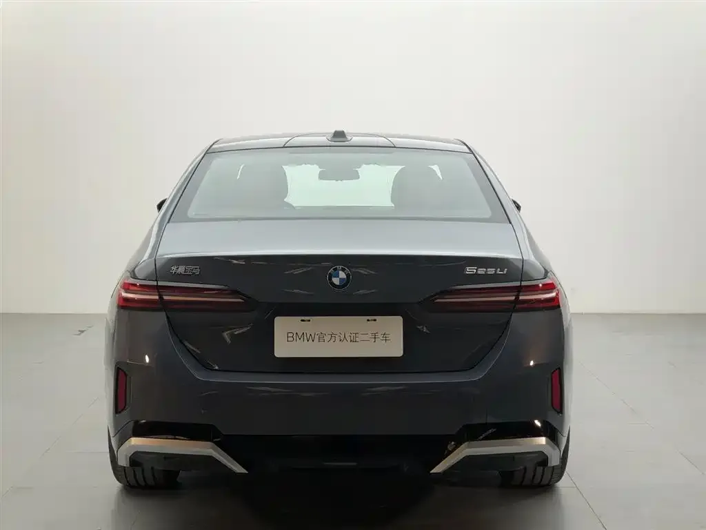 BMW 5 Series 2024 из CN, фото 4