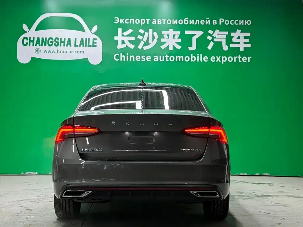 Skoda Octavia 2022 из CN, фото 3