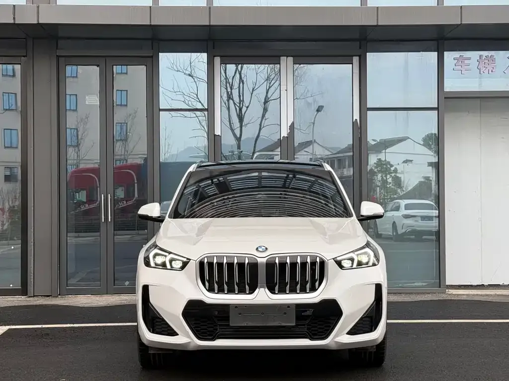 BMW X1 2023 из CN, фото 10