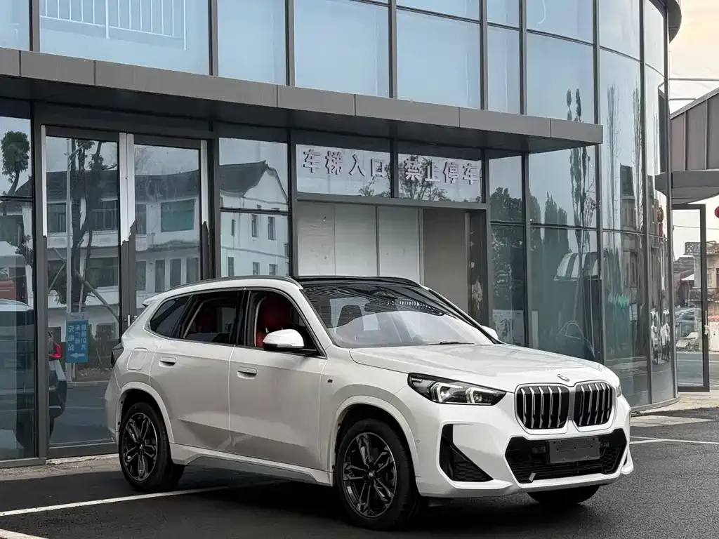 BMW X1 2023 из CN, фото 7