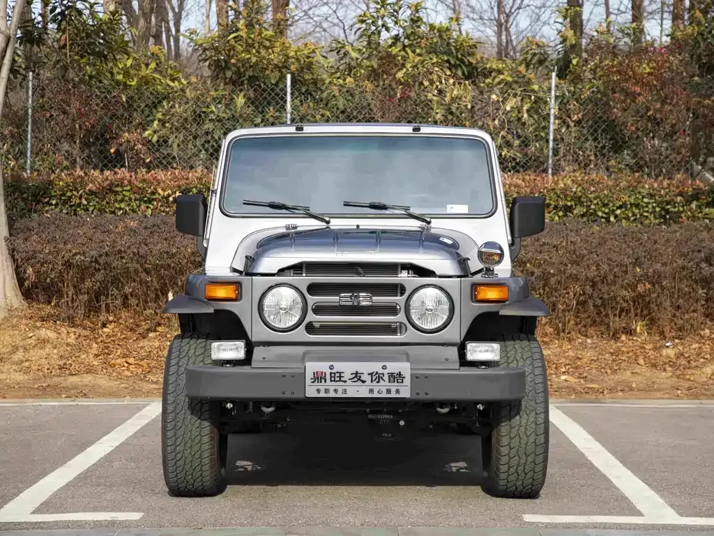 BAW 212 Classic 2025 из CN, фото 2