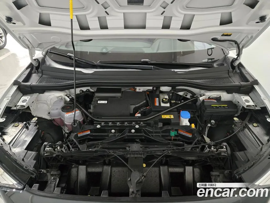 Audi Q4 e-tron 2023 из KR, фото 8