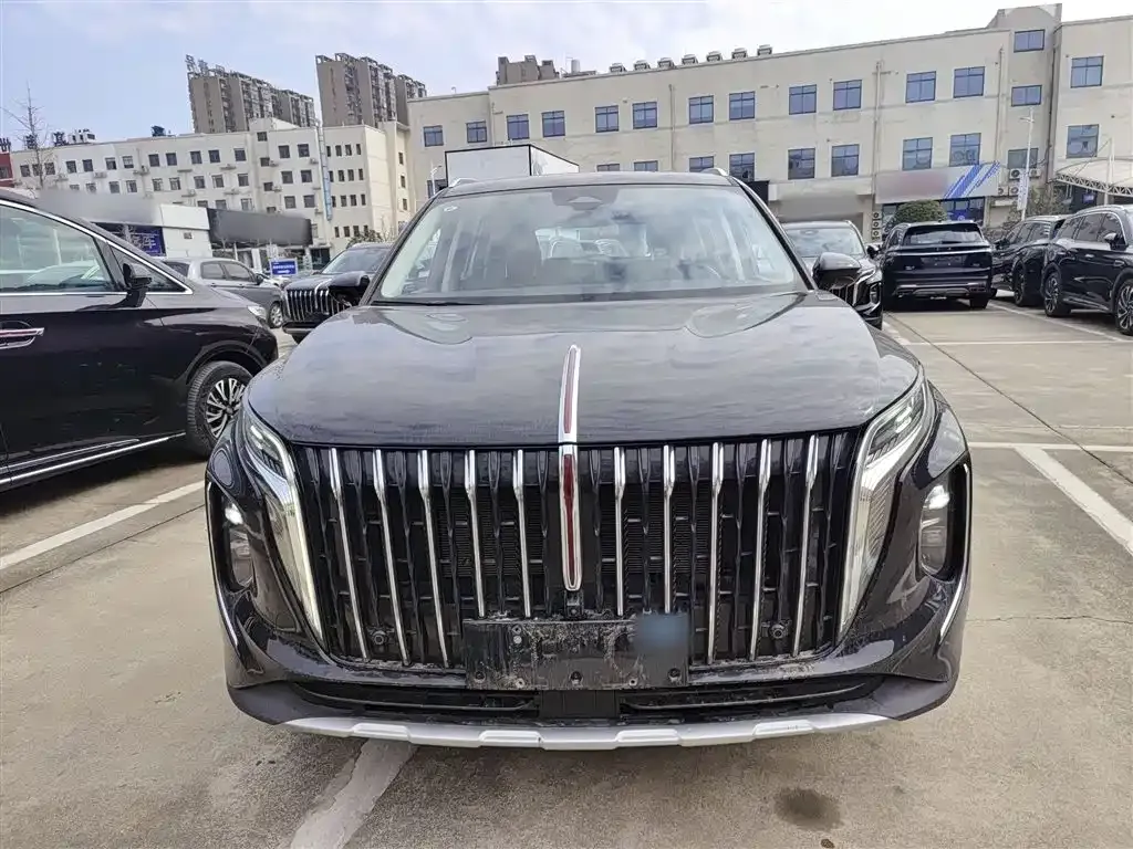 Hongqi HS7 PHEV 2024 из CN, фото 8