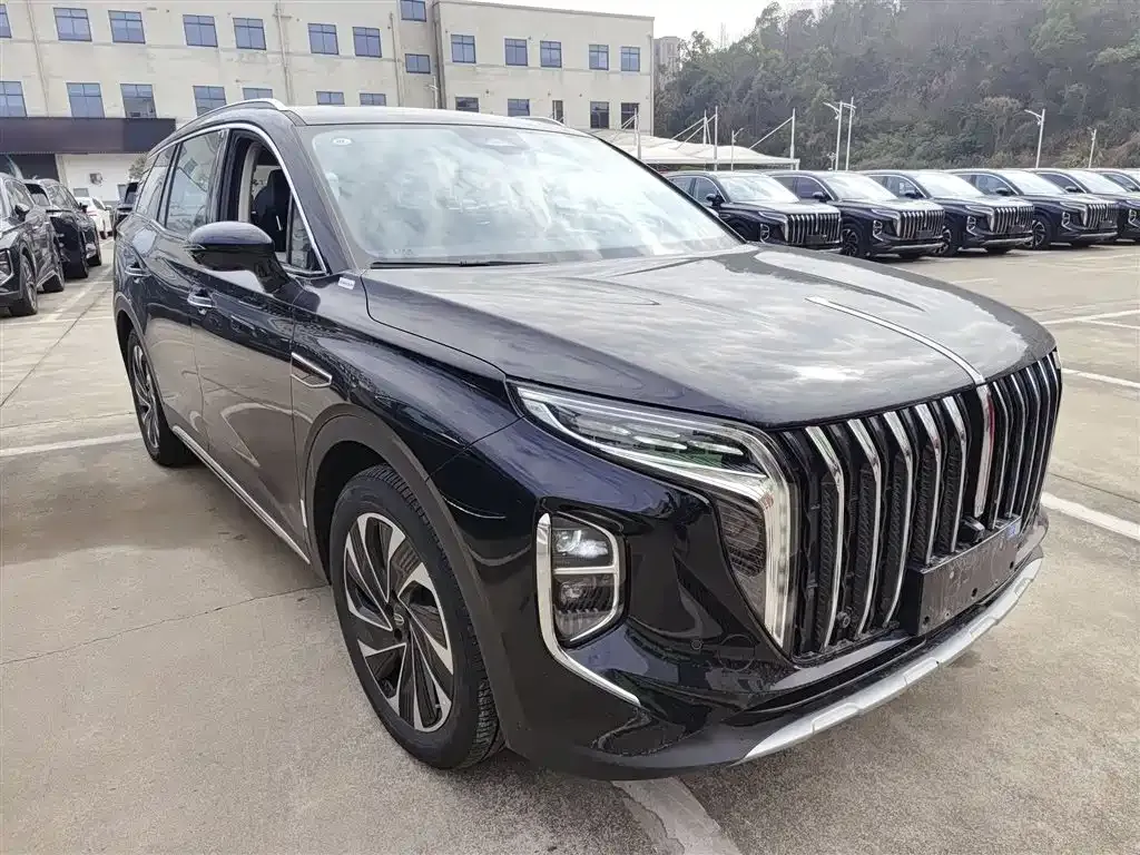 Hongqi HS7 PHEV 2024 из CN, фото 5