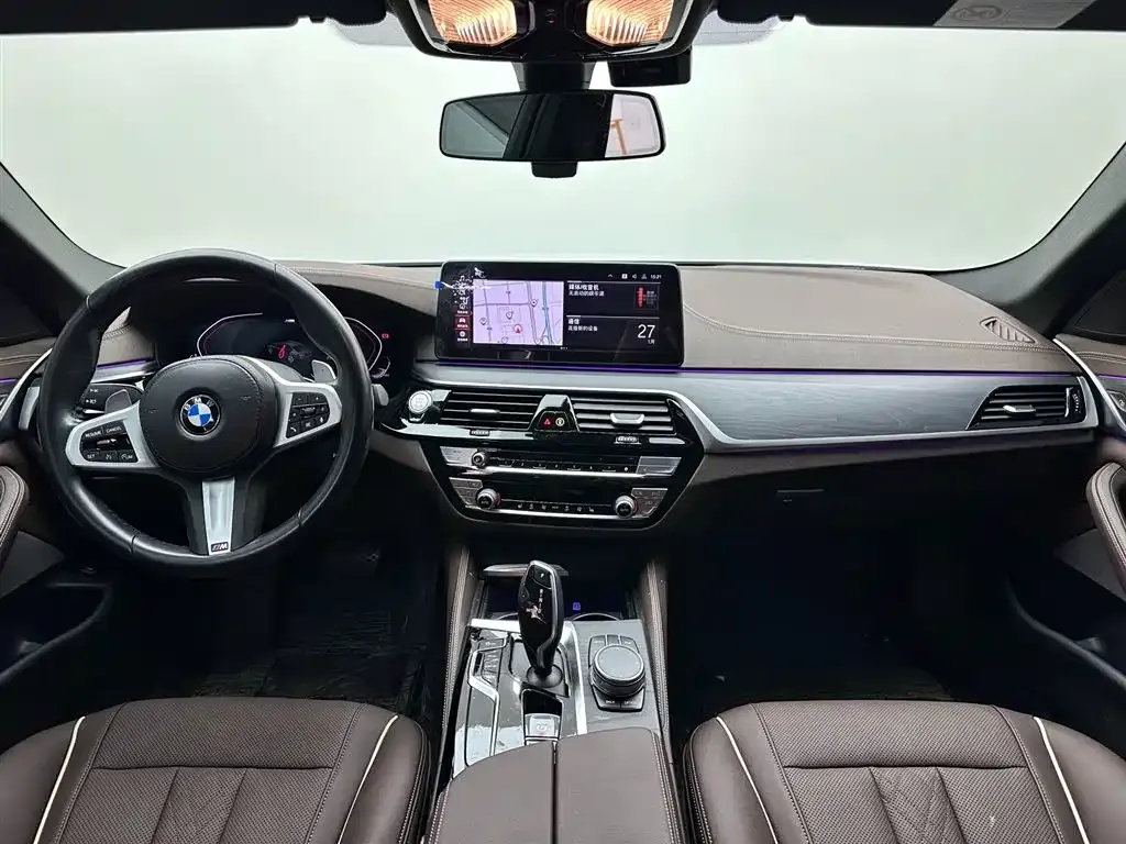BMW 5 Series 2021 из CN, фото 9
