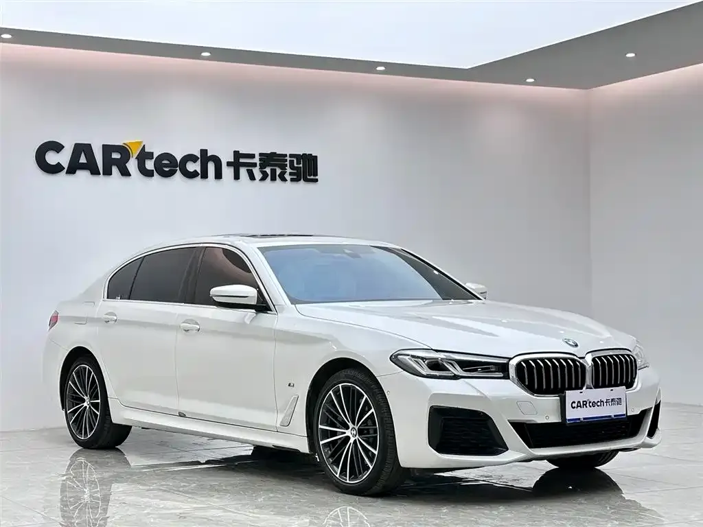 BMW 5 Series 2021 из CN, фото 8